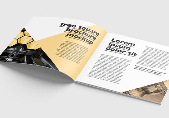 廣州木門(mén)畫(huà)冊(cè)設(shè)計(jì)制作 廣州制作畫(huà)冊(cè)公司