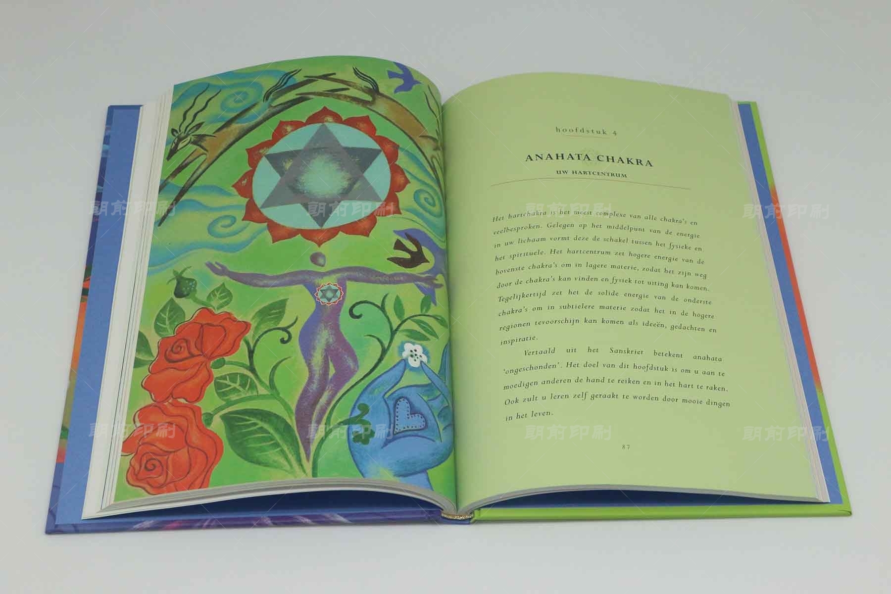 廣州一本畫冊(cè)印刷多少錢 廣州畫冊(cè)印刷要多少