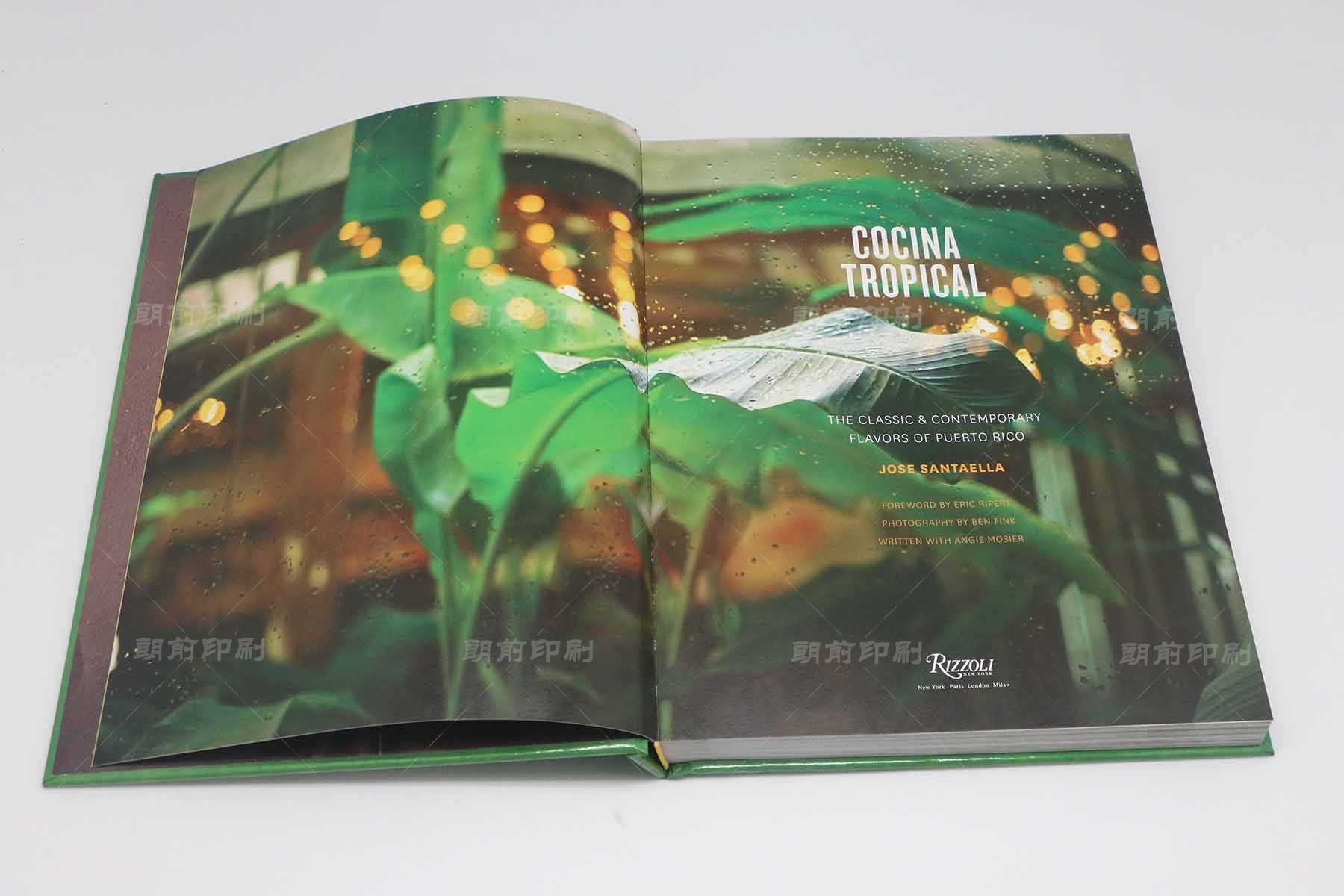 廣州廣告印刷畫冊(cè)設(shè)計(jì) 廣州樣本畫冊(cè)印刷企業(yè)