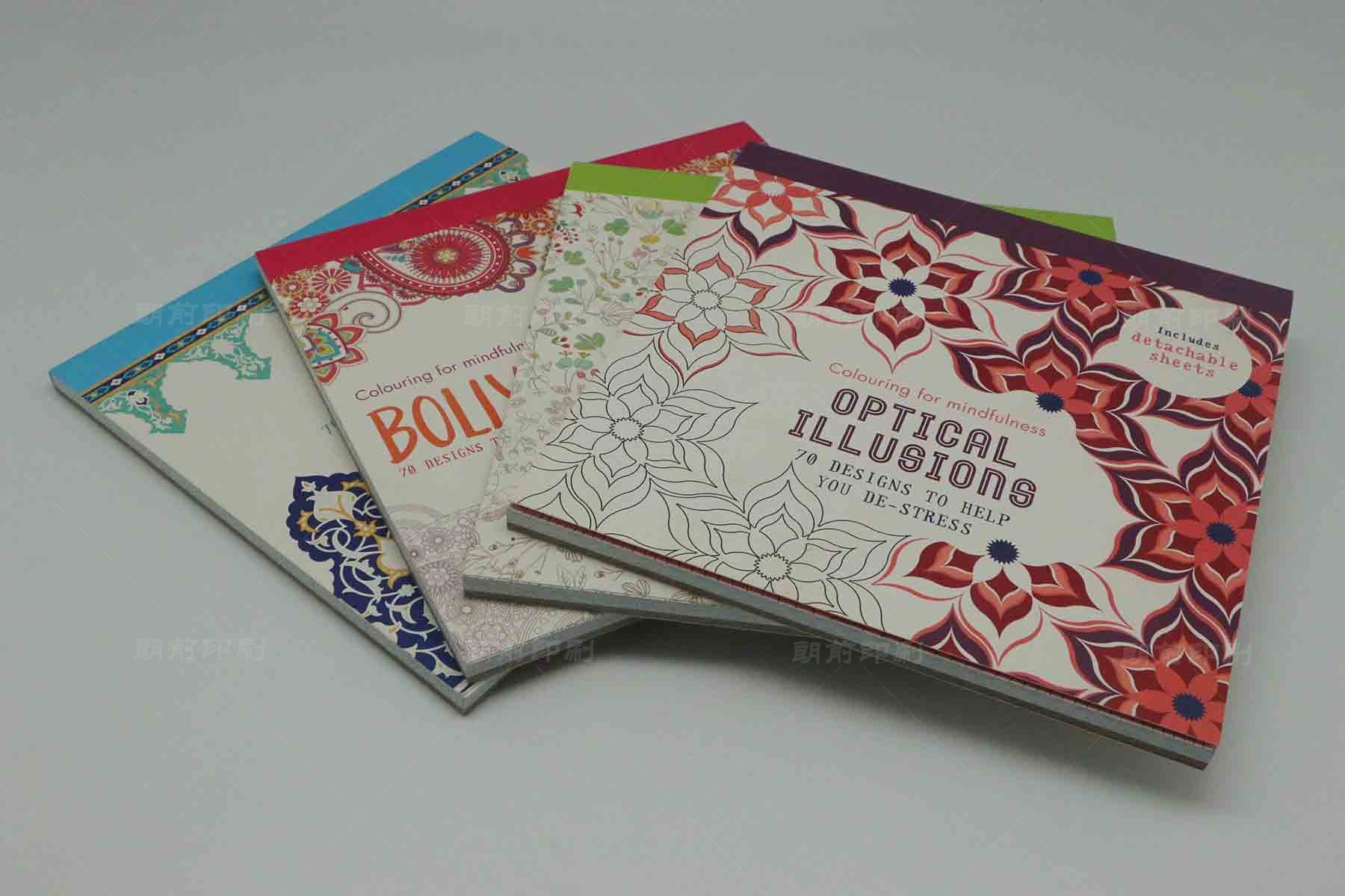 廣州企業(yè)企業(yè)畫冊設(shè)計(jì)印刷 廣州精裝畫冊印刷廠家