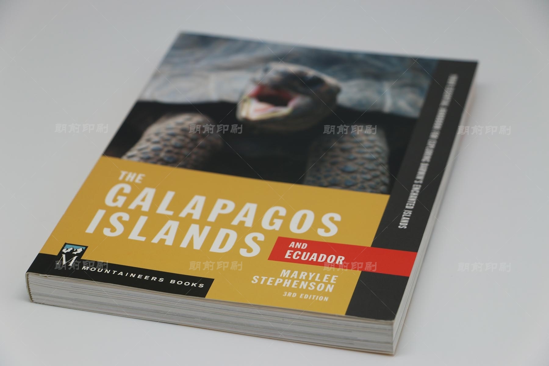 廣州活動畫冊制作公司 廣州畫冊彩頁設(shè)計(jì)印刷