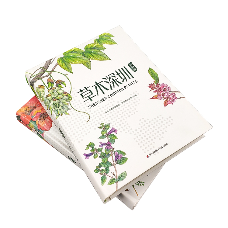 廣州民宿畫冊設(shè)計(jì)制作 廣州印畫冊的印刷公司