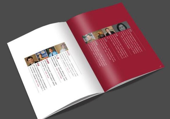 廣州公司宣傳畫冊設(shè)計印刷廠家 廣州企業(yè)畫冊設(shè)計印刷制作