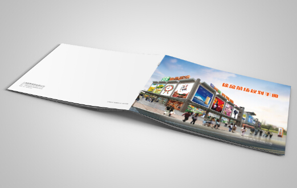 廣州廣告畫(huà)冊(cè)設(shè)計(jì)制作 廣州企業(yè)畫(huà)冊(cè)印刷供應(yīng)