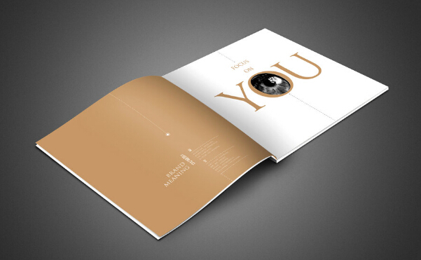 廣州企業(yè)畫冊(cè)印刷價(jià) 廣州包裝畫冊(cè)設(shè)計(jì)制作