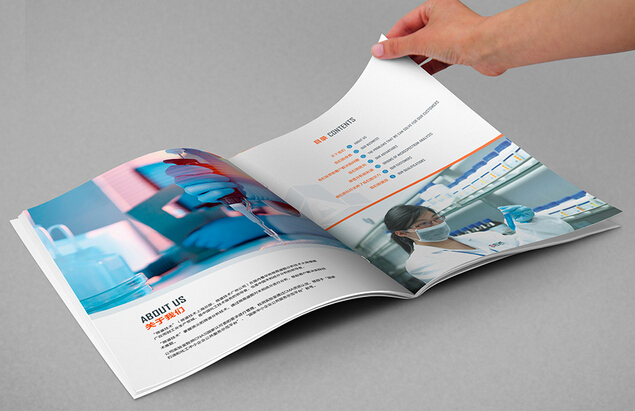 廣州公司畫冊制作尺寸 廣州印刷樣本畫冊設(shè)計(jì)價(jià)格