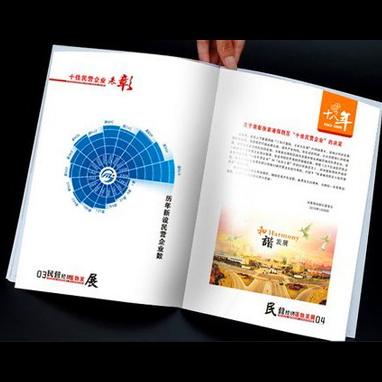 畫冊印刷 畫冊設(shè)計(jì) 健康飲食畫冊 宣傳畫冊